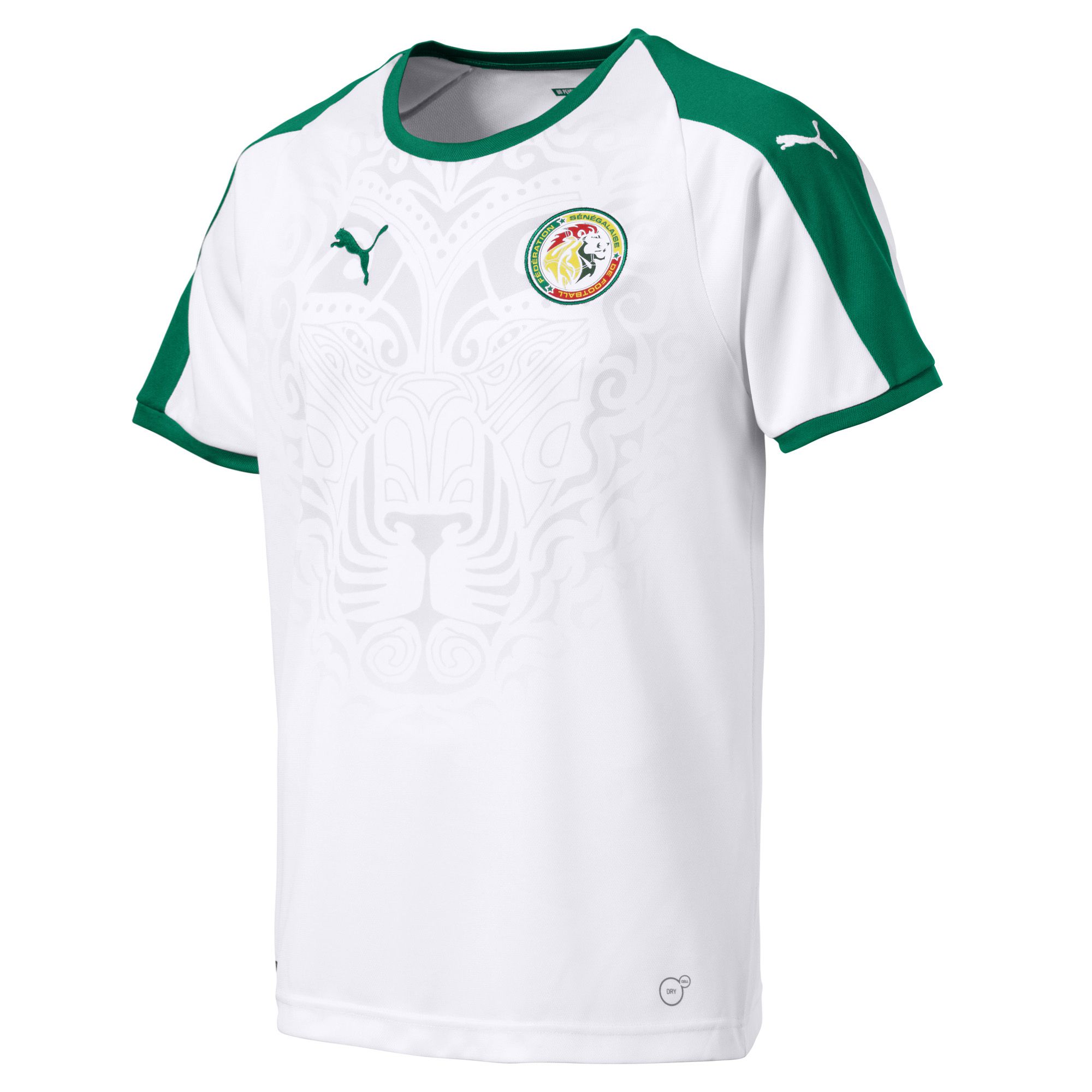 Senegal’s World Cup Home Kit by Puma Revealed