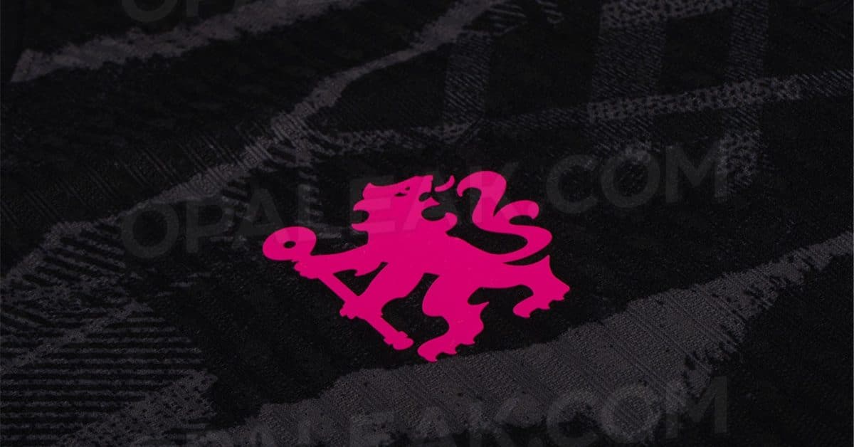 Chelsea 2024/25 Third Kit Leaked